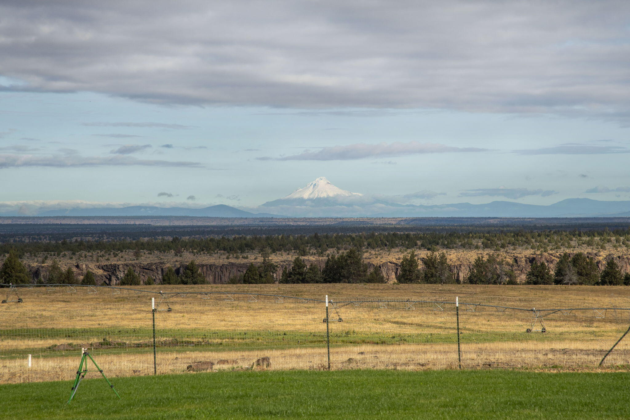 7056 Southwest Kent Lane Culver, OR 97734 - Photo 27 of 65 23-web-or-mls-DSC_1150