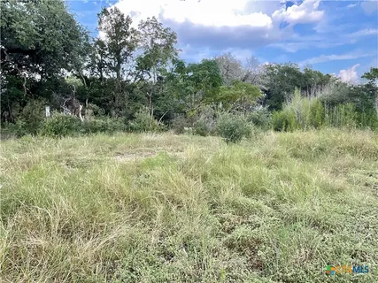 a view of a lush green space
