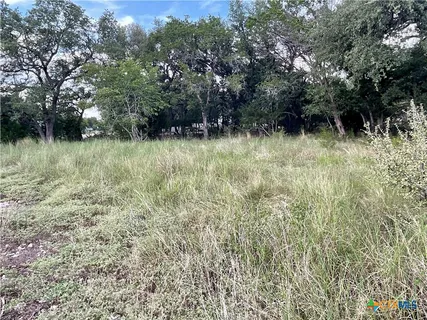 a view of outdoor space and green space