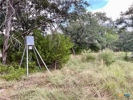 a flag is sitting in the middle of a forest