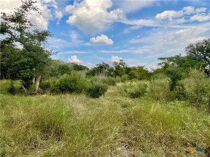 a view of a bunch of trees in background