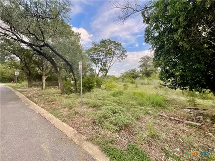 a view of a yard with plants and trees