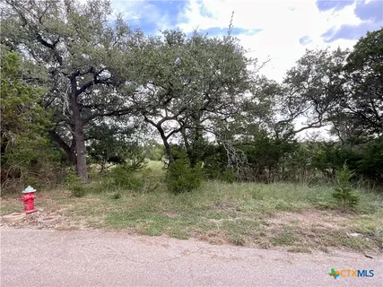 a view of backyard with green space
