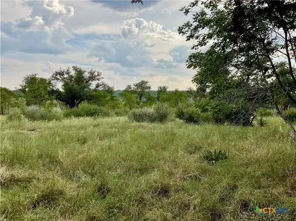 a view of a bunch of trees