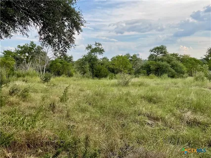 a view of a field of grass and trees