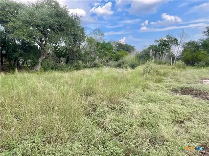 a view of a green field with lots of bushes