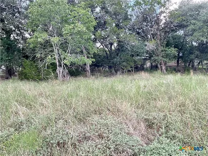 a view of a lush green forest with lots of trees
