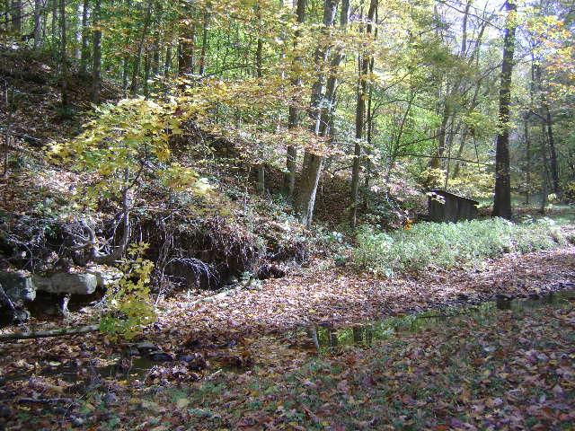 5386 Old Harding Road Franklin, TN 37064 - Photo 11 of 20