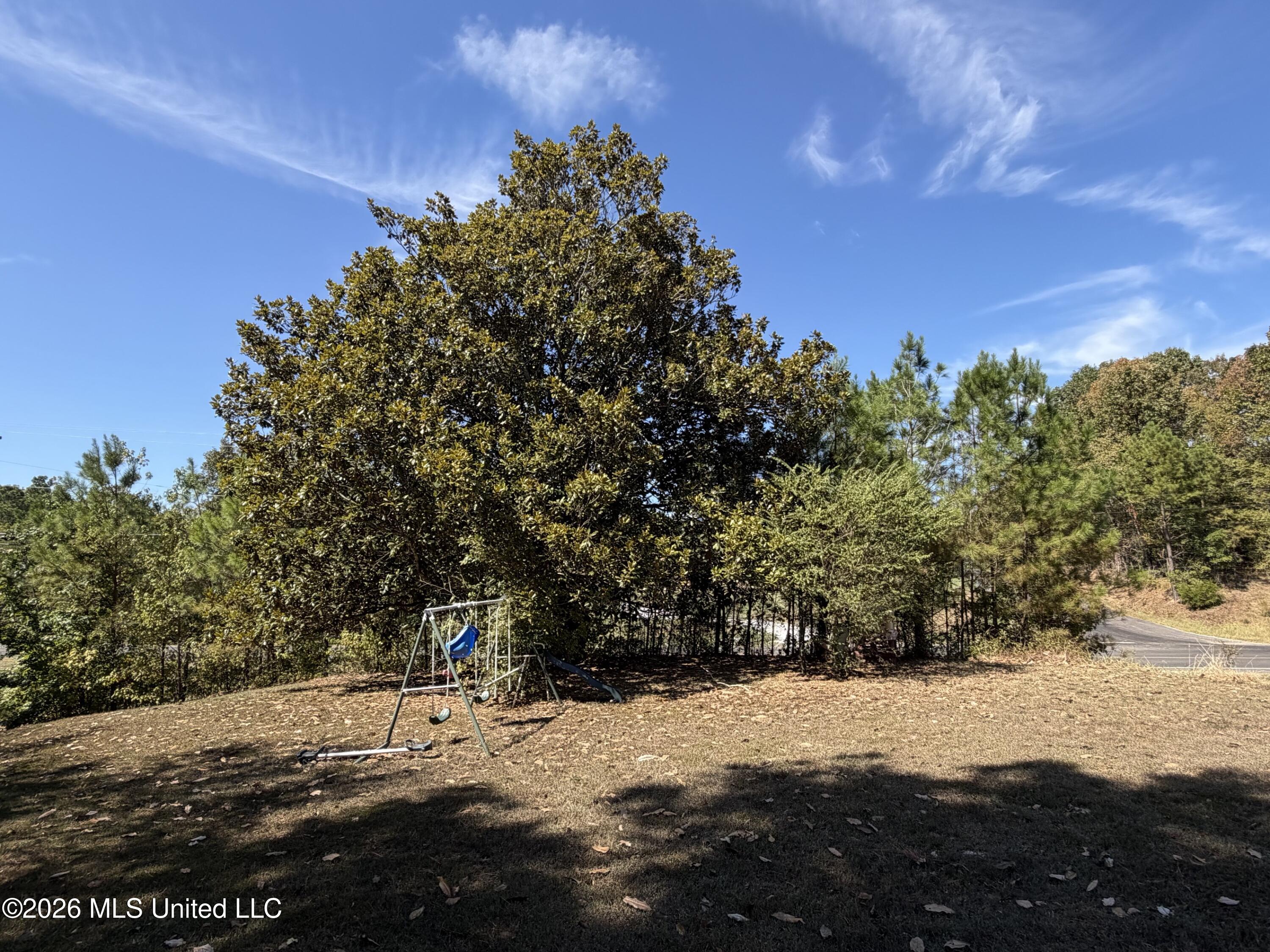 289 St Paul Road Byhalia, MS 38611 - Photo 25 of 33 image1 (8)