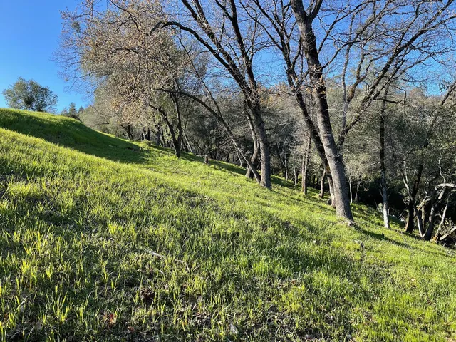 a view of a back yard