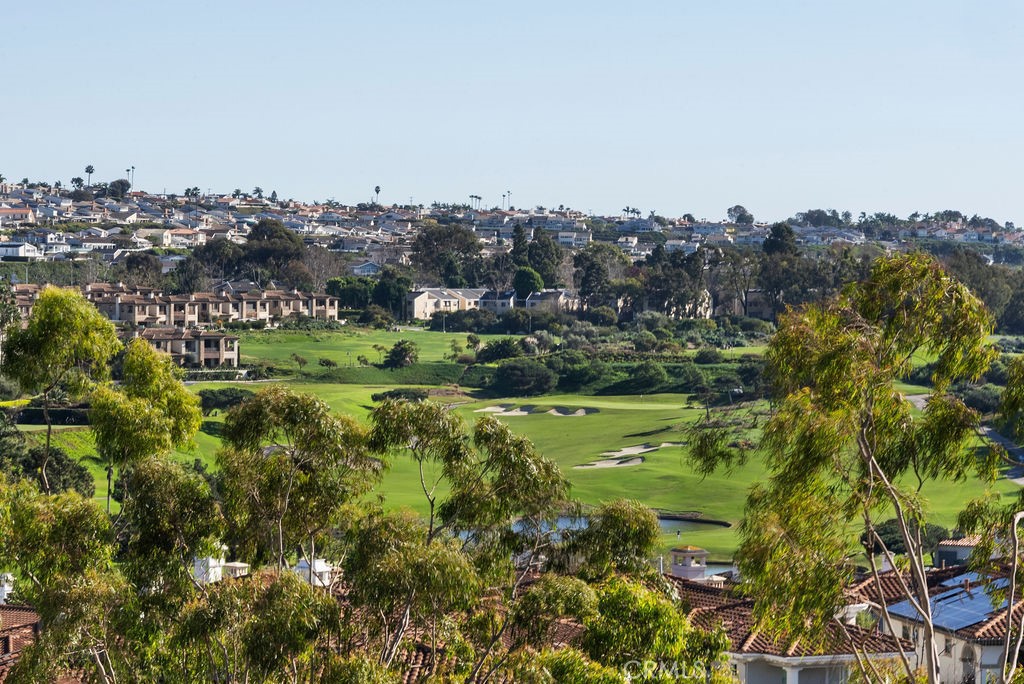 23274 Atlantis Way Dana Point, CA 92629 - Photo 3 of 53 a view of a city