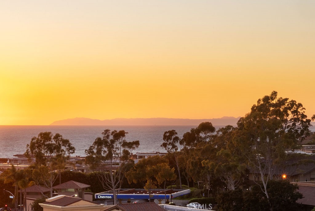 23274 Atlantis Way Dana Point, CA 92629 - Photo 43 of 53 a view of a city