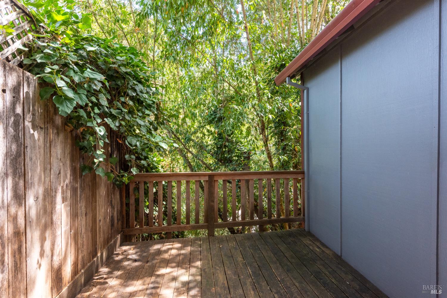 9779 Rio Vista Road Forestville, CA 95436 - Photo 25 of 32 Gallery Image 25