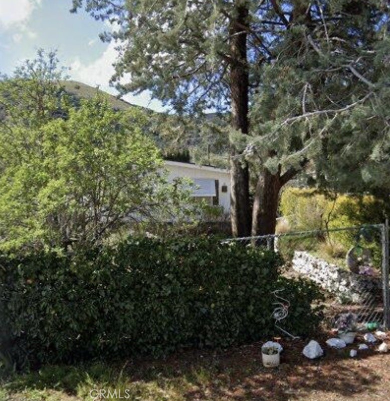a view of a tree is standing in between the yard