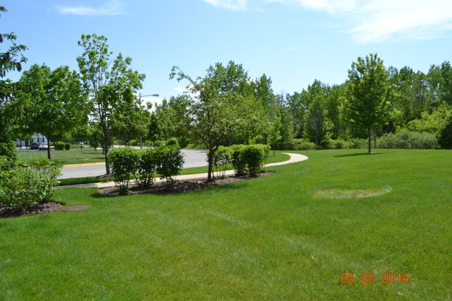 1446 McClure Road, Unit 1446 Aurora, IL 60505 - Photo 2 of 9 a view of a park with large trees