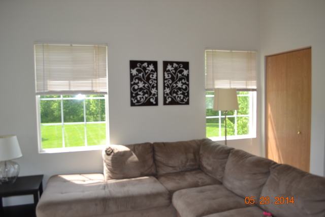 1446 McClure Road, Unit 1446 Aurora, IL 60505 - Photo 5 of 9 a living room with furniture and a window