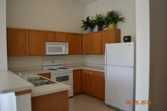 1446 McClure Road, Unit 1446 Aurora, IL 60505 - Photo 7 of 9 a kitchen with a sink a refrigerator and a potted plant