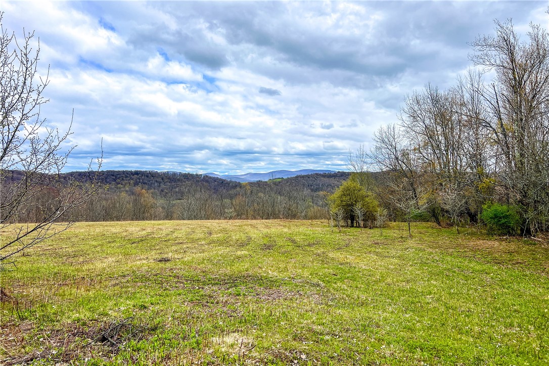 Lot 3 Brownell Road Bloomville, NY 13739 - Photo 29 of 35