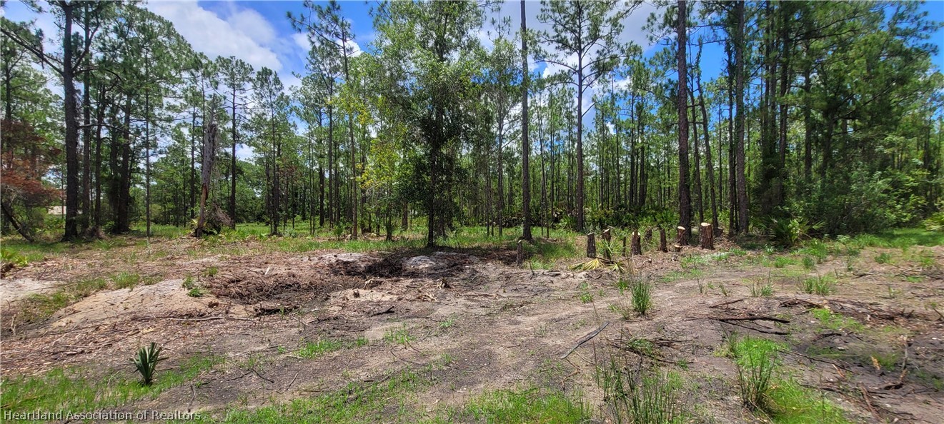 5810 Elm Road Sebring, FL 33875 - Photo 2 of 9 Gallery Image 2
