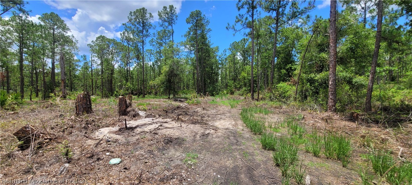 5810 Elm Road Sebring, FL 33875 - Photo 3 of 9 Gallery Image 3