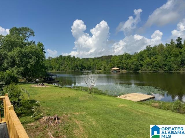 208 Lakeshore Lane Oneonta, AL 35121 - Photo 1 of 30