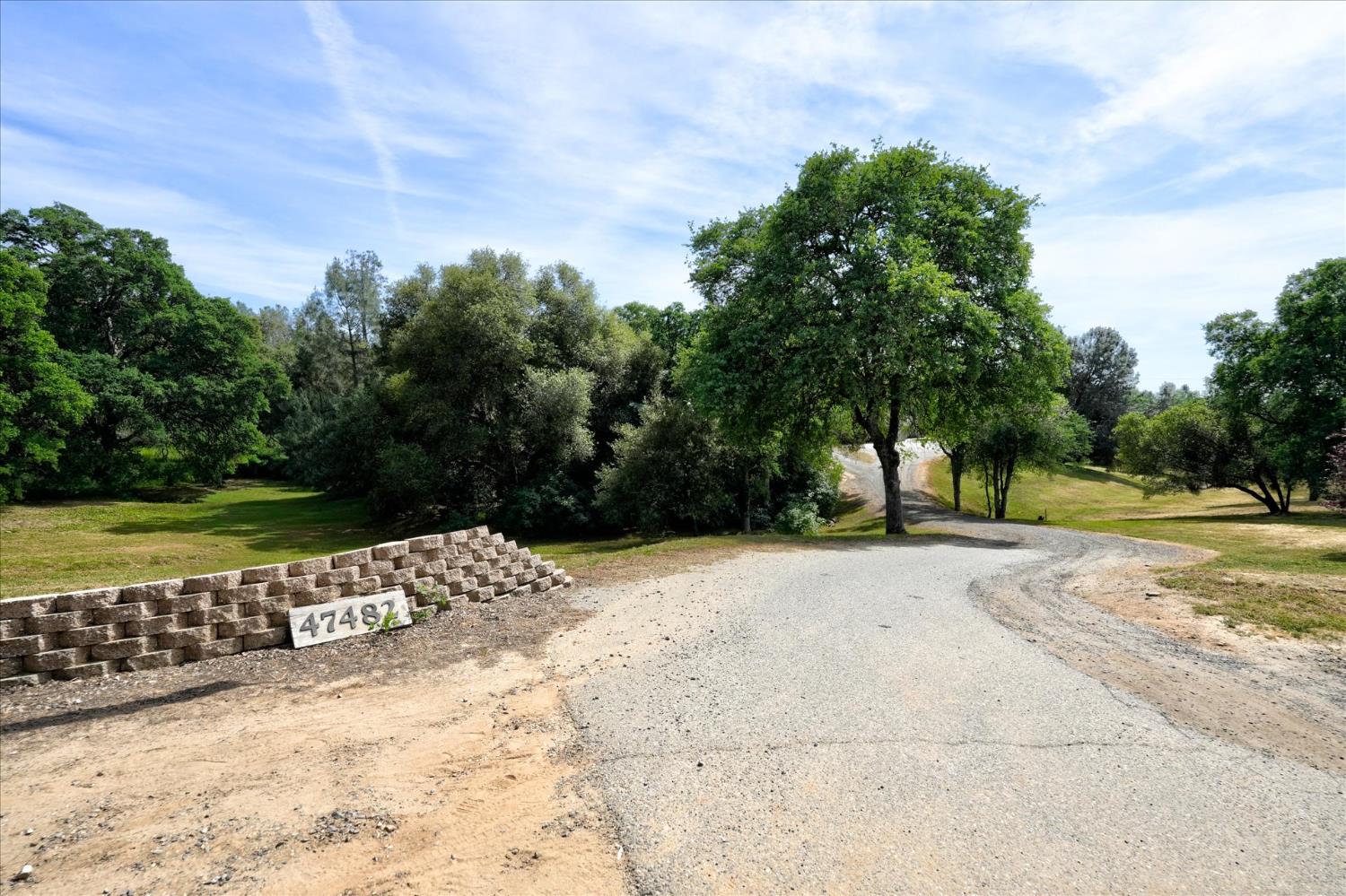 47482 Veater Ranch Road Coarsegold, CA 93614 - Photo 51 of 51 a view of a yard with plants and trees