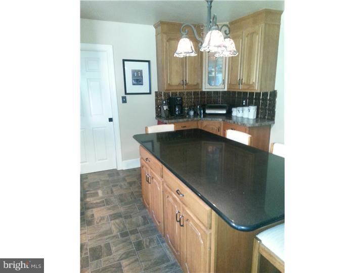 713 Alene Road Ambler, PA 19002 - Photo 4 of 8 Kitchen