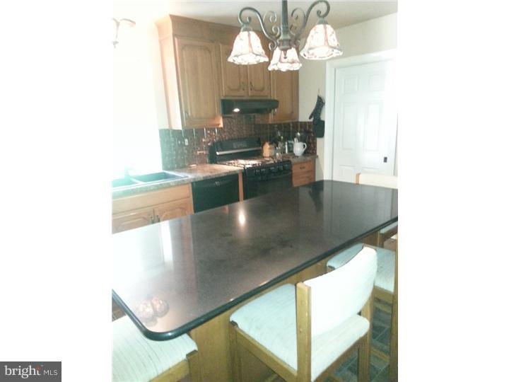 713 Alene Road Ambler, PA 19002 - Photo 6 of 8 Kitchen