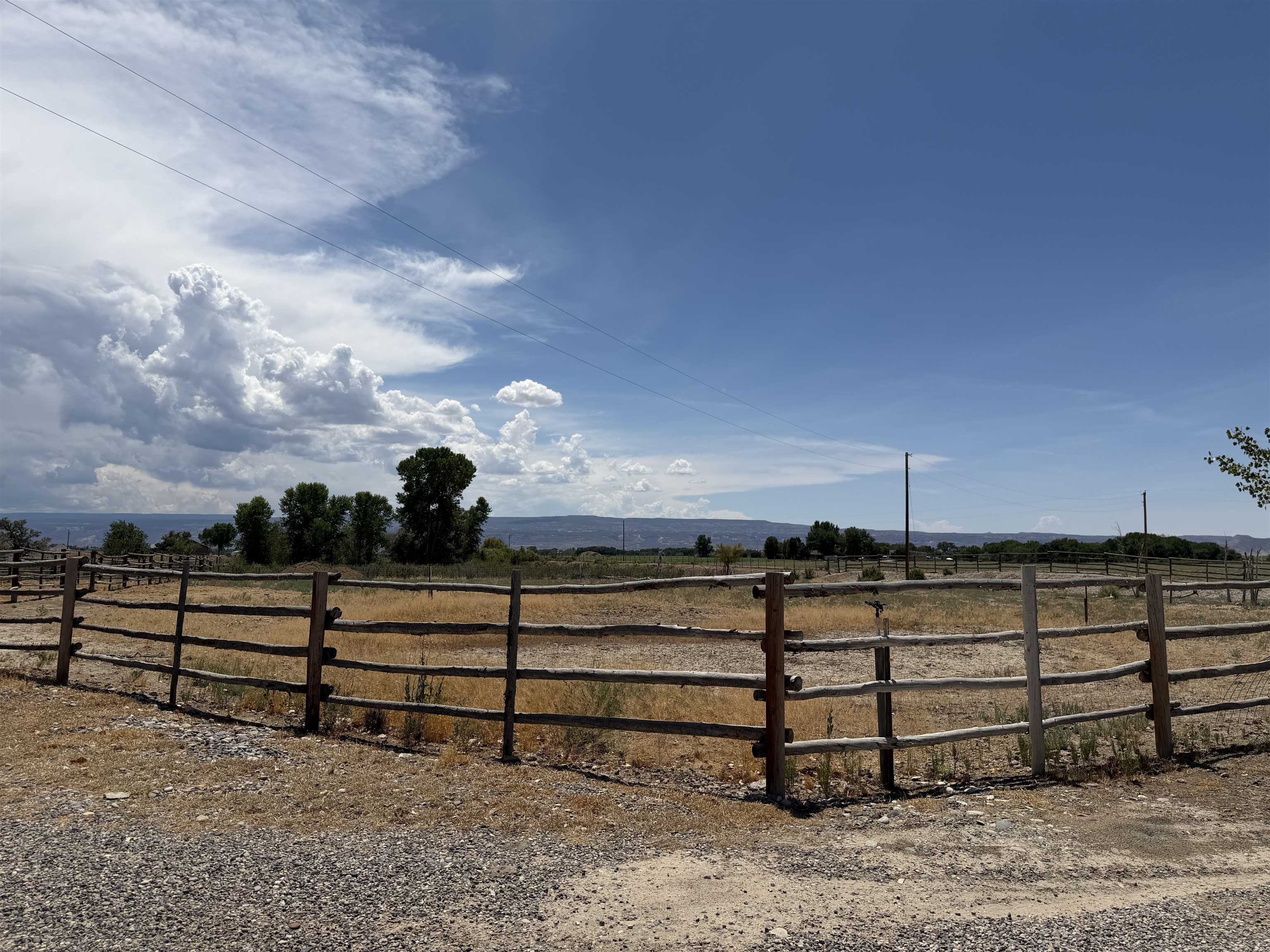 1668 18 Road Fruita, CO 81521 - Photo 16 of 42 Gallery Image 16