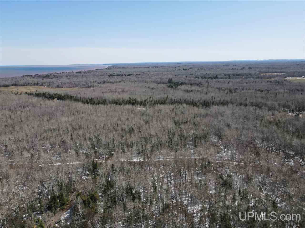 Tbd Bolo Road Marenisco, MI 49947 - Photo 8 of 14