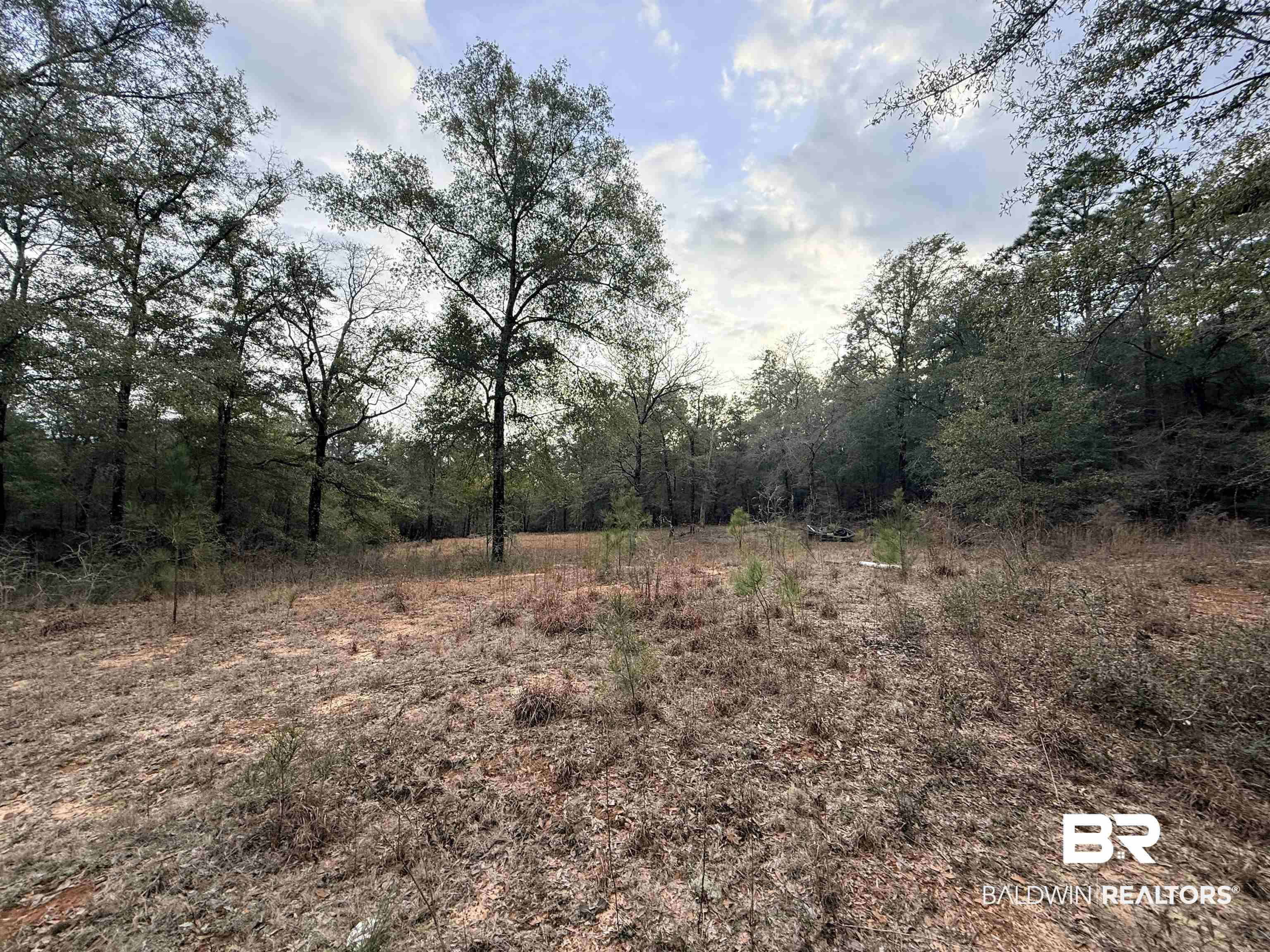 9325 Georgetown Hills Road West Wilmer, AL 36587 - Photo 2 of 11