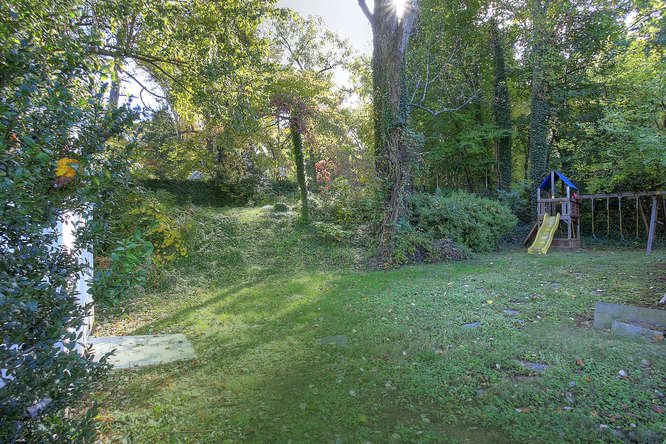 1454 Rugby Road Charlottesville, VA 22903 - Photo 32 of 33 a view of a forest