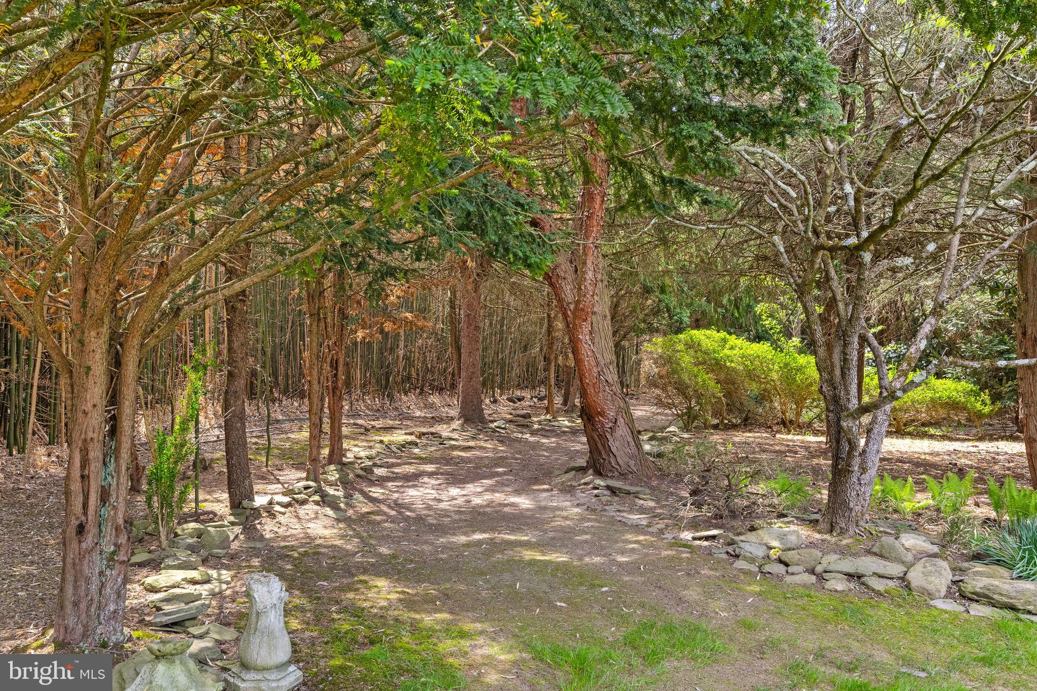65 Covered Bridge Road New Hope, PA 18938 - Photo 108 of 117 a view of a tree in the middle of a yard