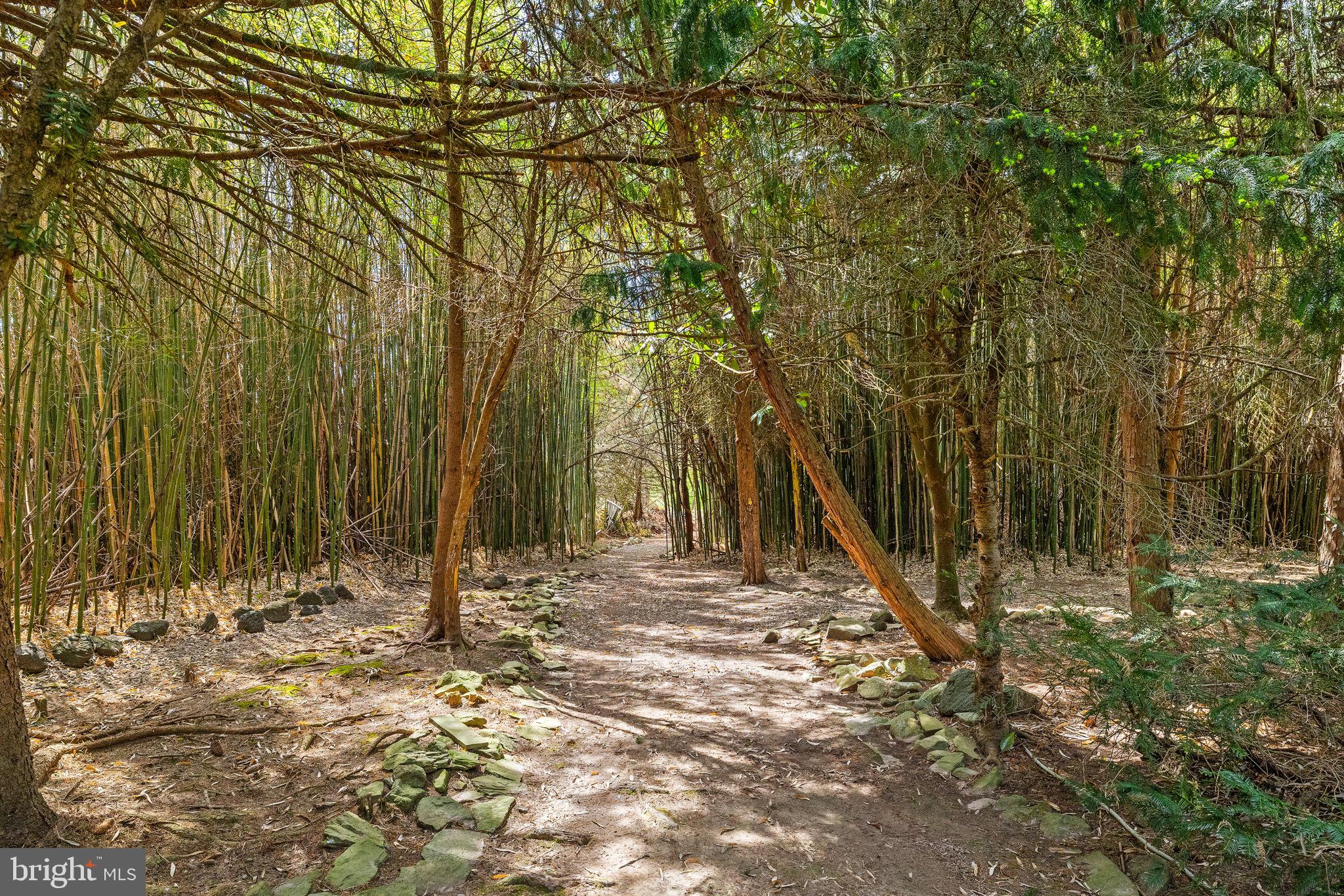 65 Covered Bridge Road New Hope, PA 18938 - Photo 109 of 117 Walking Trail