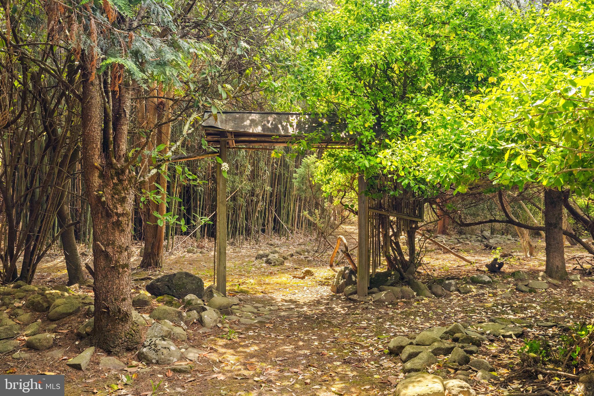 65 Covered Bridge Road New Hope, PA 18938 - Photo 111 of 117 a backyard of a house with lots of green space