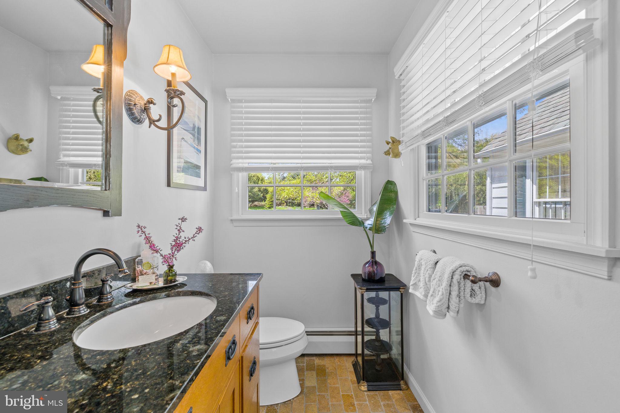 65 Covered Bridge Road New Hope, PA 18938 - Photo 54 of 117 a bathroom with a granite countertop sink a toilet and mirror