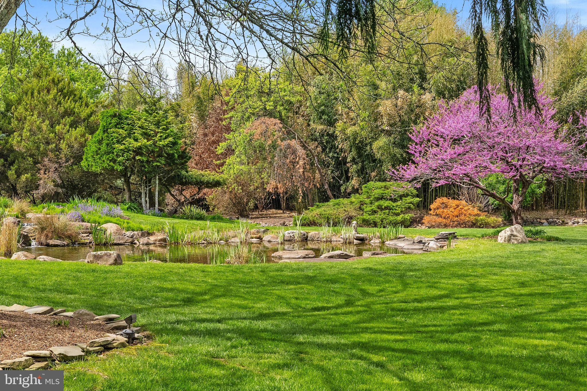 65 Covered Bridge Road New Hope, PA 18938 - Photo 93 of 117 Spectacular Gardens