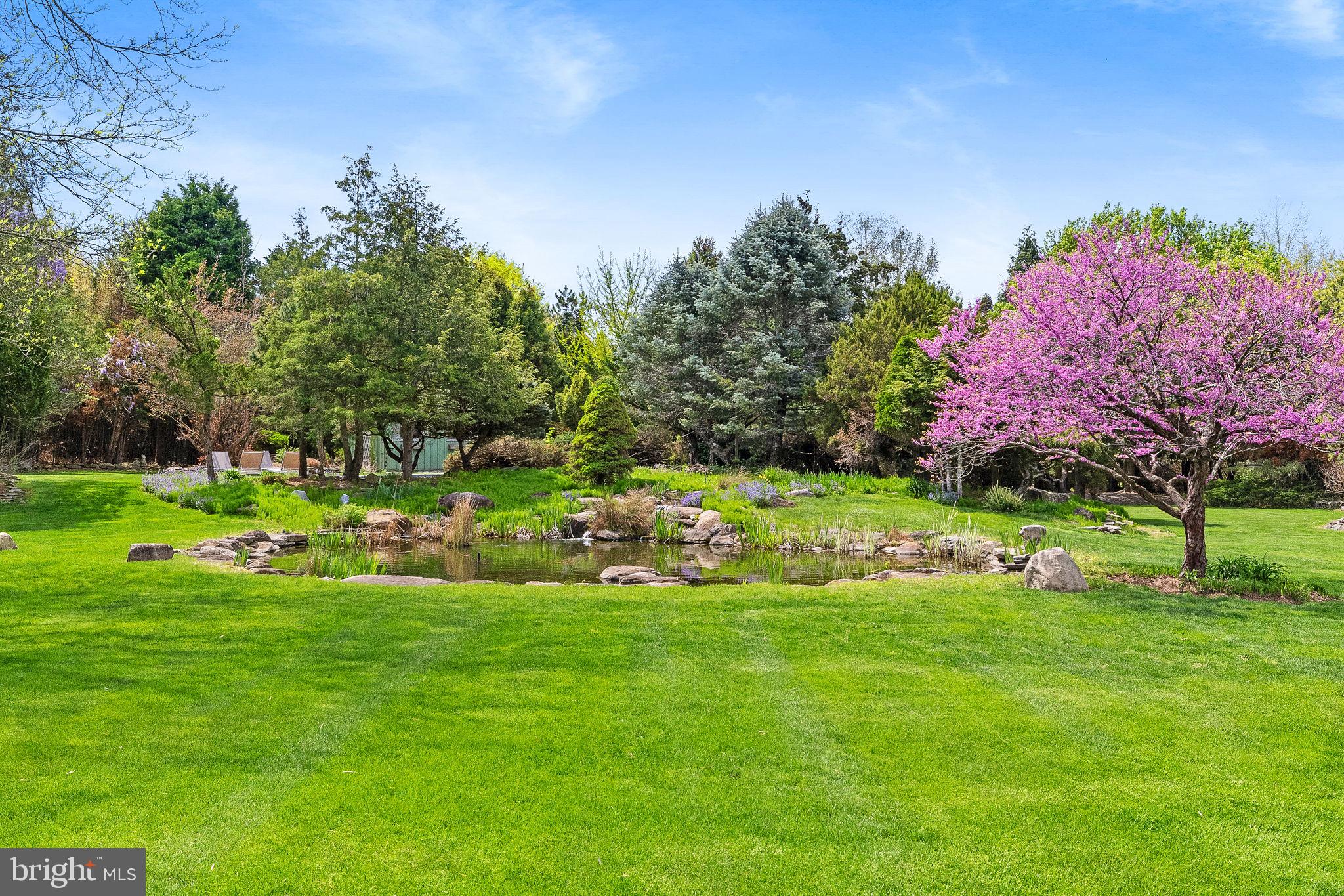 65 Covered Bridge Road New Hope, PA 18938 - Photo 95 of 117 Spectacular Gardens