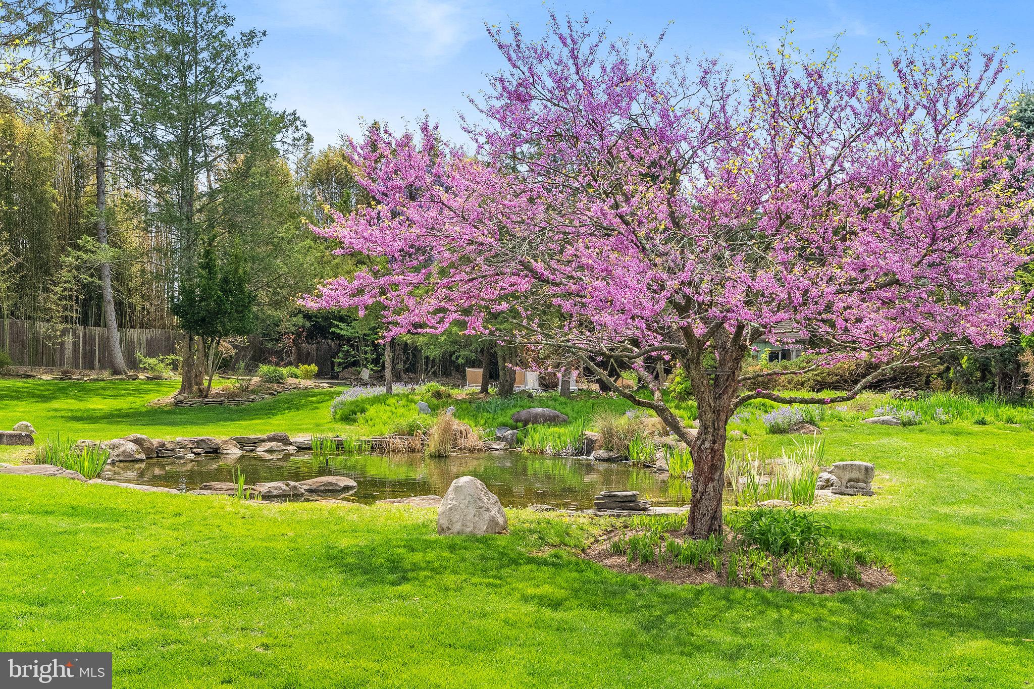 65 Covered Bridge Road New Hope, PA 18938 - Photo 96 of 117 Specimen Trees