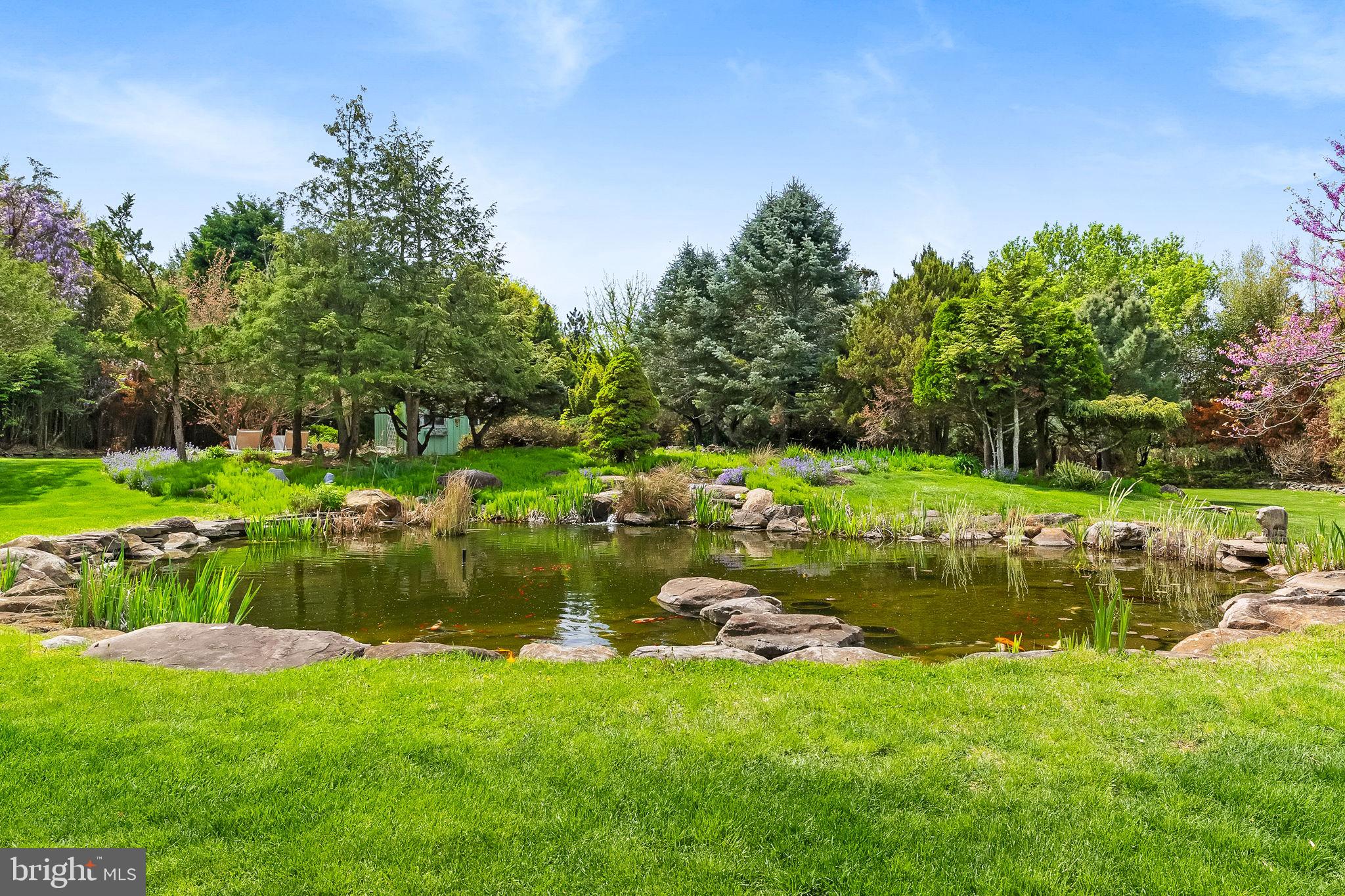 65 Covered Bridge Road New Hope, PA 18938 - Photo 97 of 117 Koi Pond