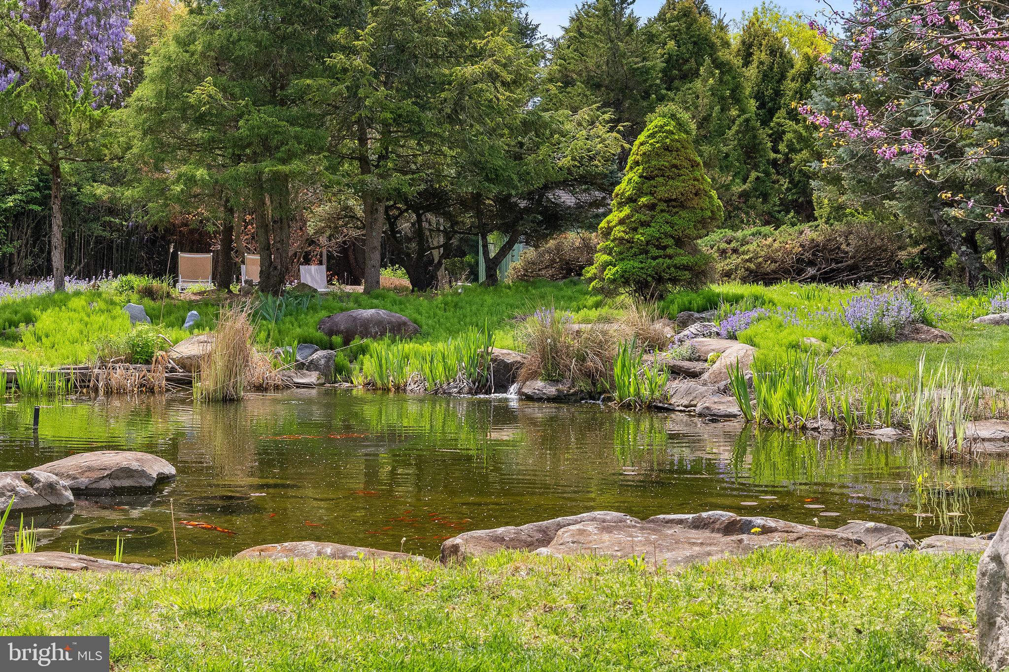 65 Covered Bridge Road New Hope, PA 18938 - Photo 98 of 117 Koi Pond