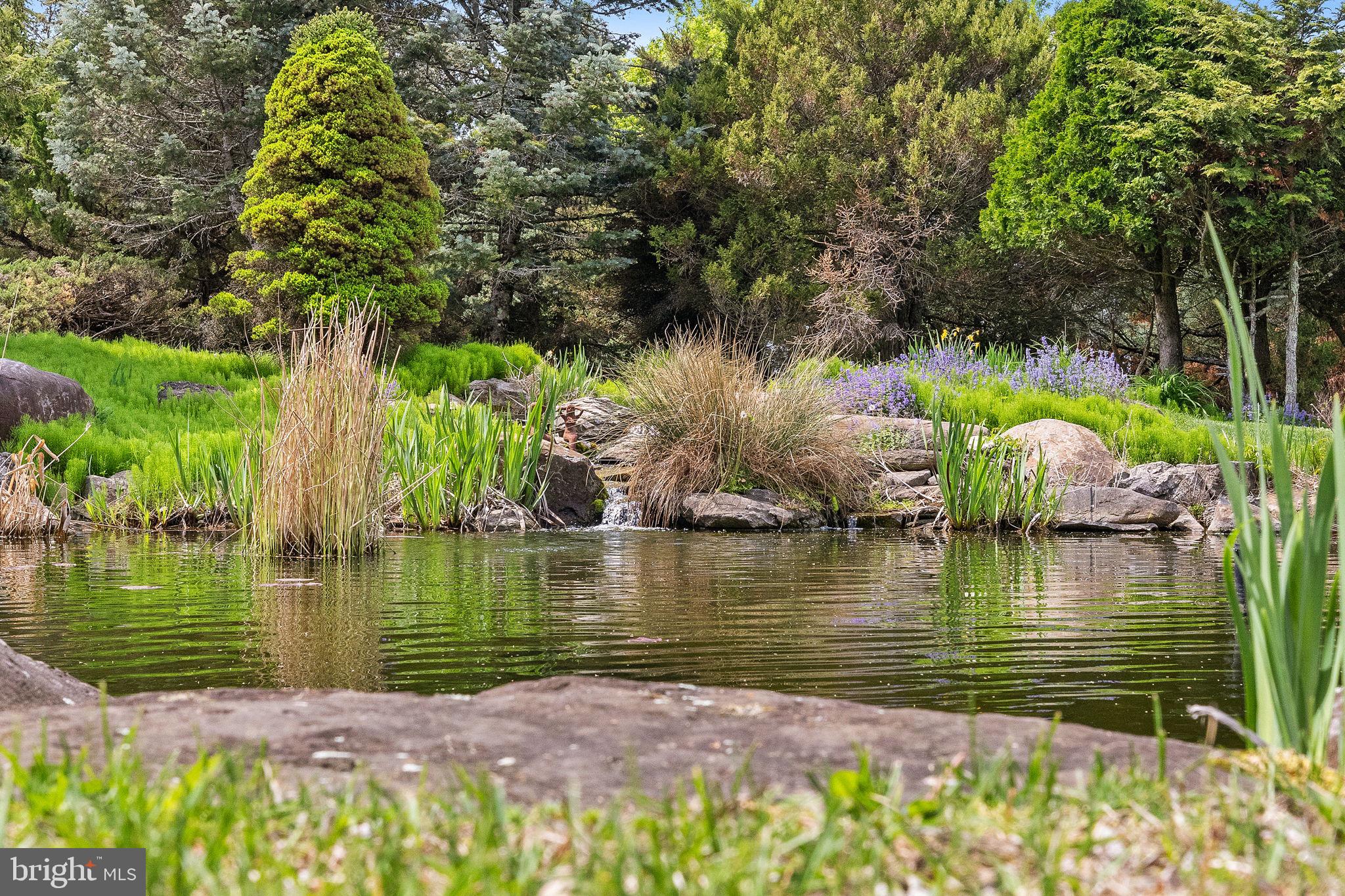 65 Covered Bridge Road New Hope, PA 18938 - Photo 99 of 117 a view of a lake with a house in the background