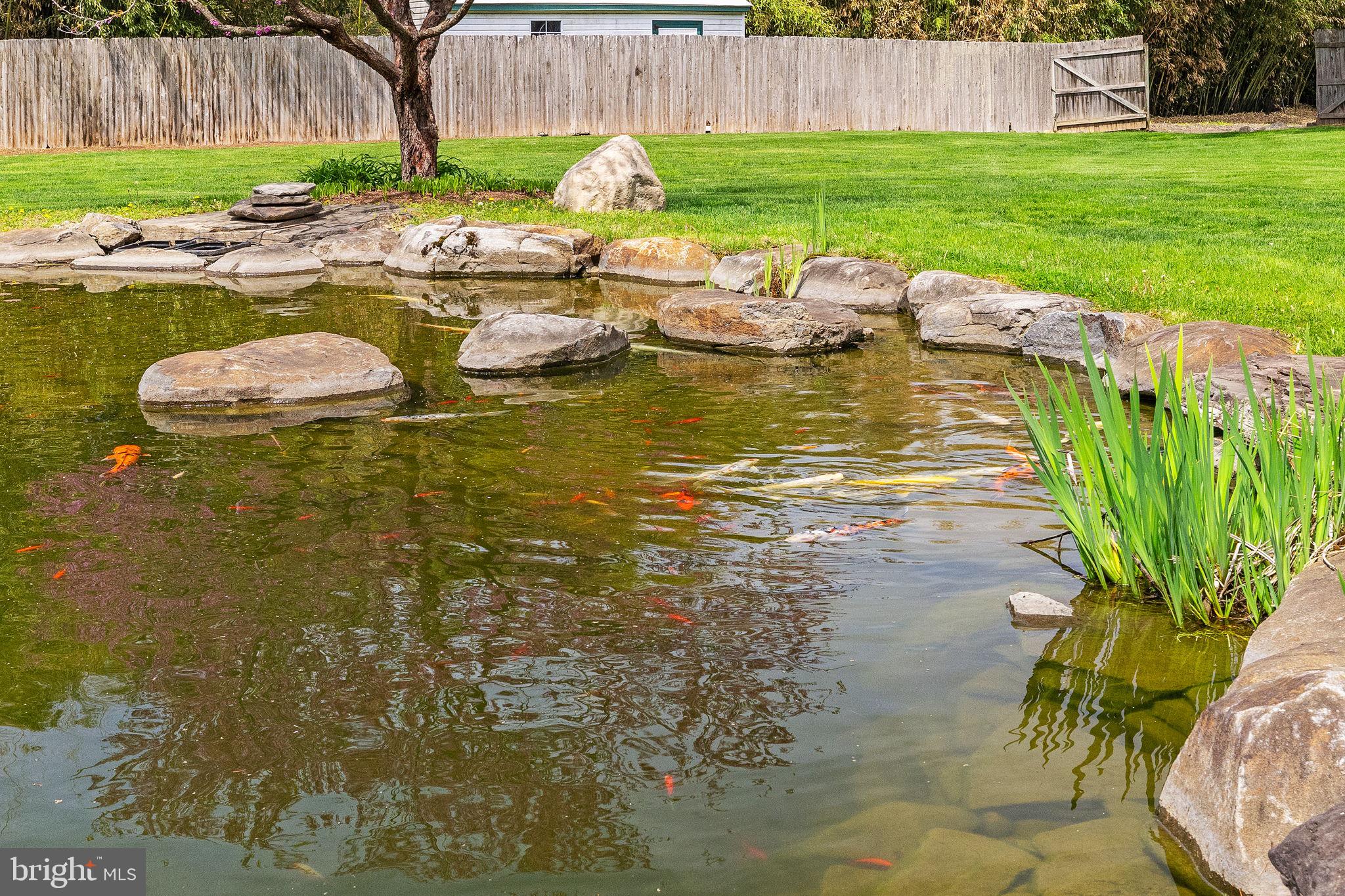 65 Covered Bridge Road New Hope, PA 18938 - Photo 100 of 117 Koi Pond