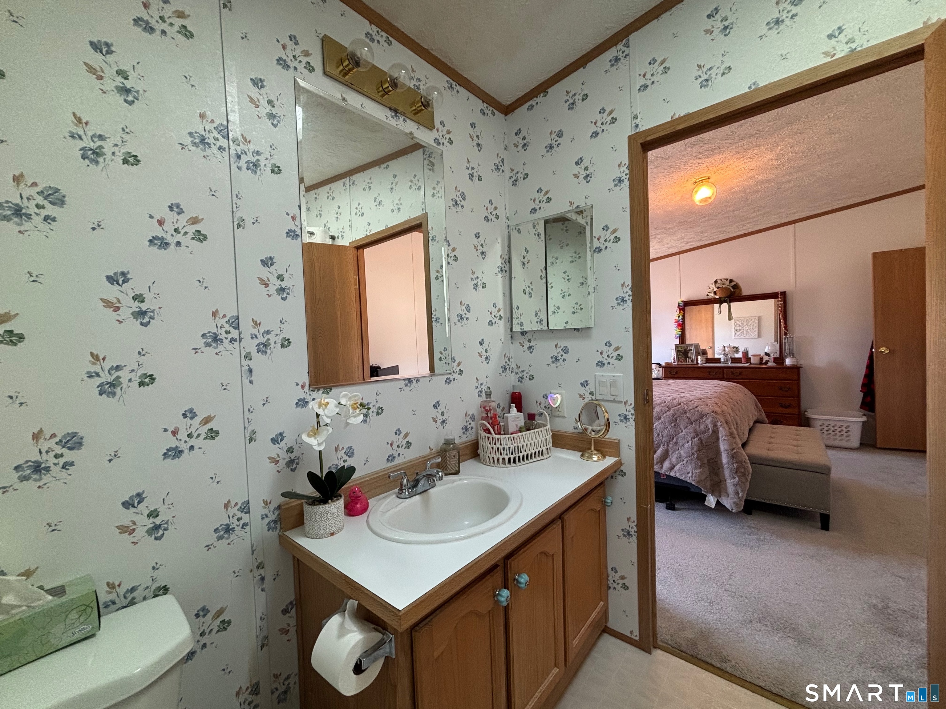 17 Haley Lane Windham, CT 06256 - Photo 35 of 40 Sky light in bath brings natural light