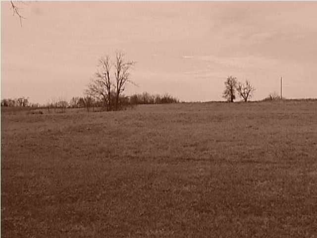 305 Drake Ridge Road Bloomfield, KY 40008 - Photo 1 of 1 Primary Photo