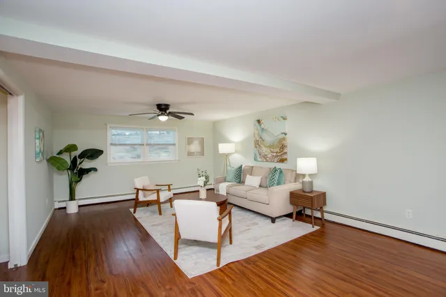 a view of a dry yard with trees