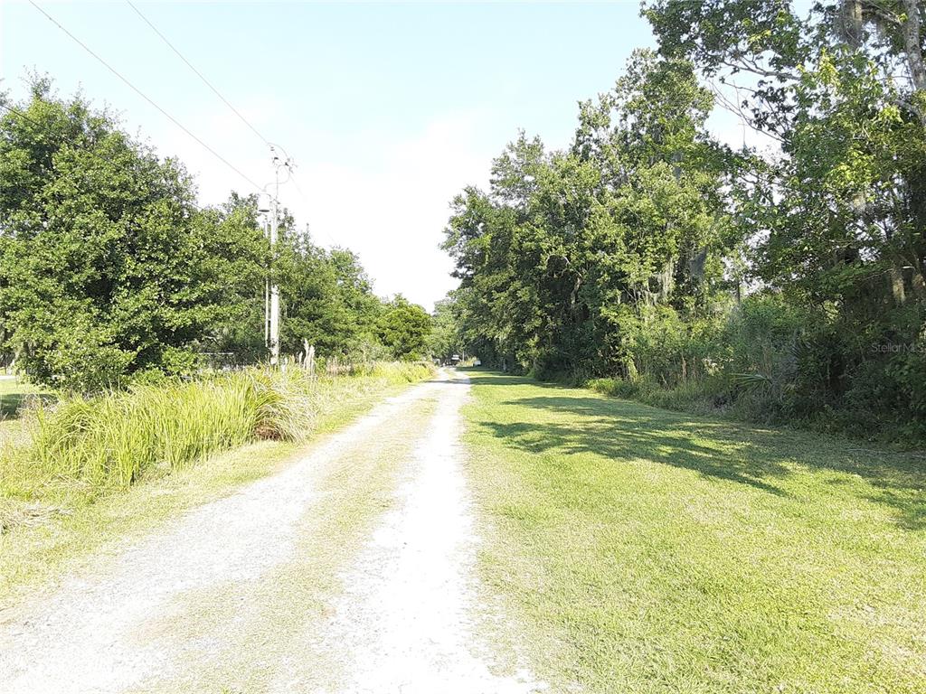 8333 Kathleen Road Lakeland, FL 33810 - Photo 4 of 24 a view of a swimming pool with a yard and large trees
