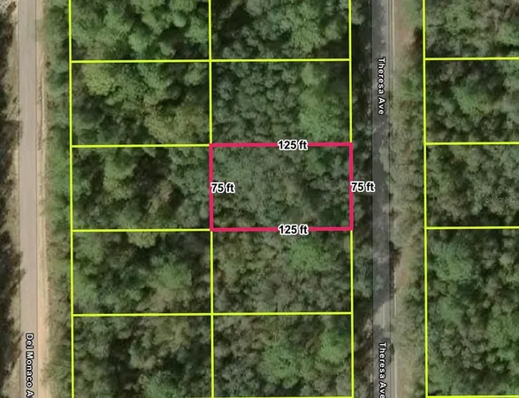 $9,850 | Undisclosed Address, Interlachen, FL 32148