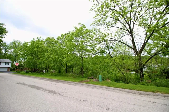 a view of a yard with a house and trees