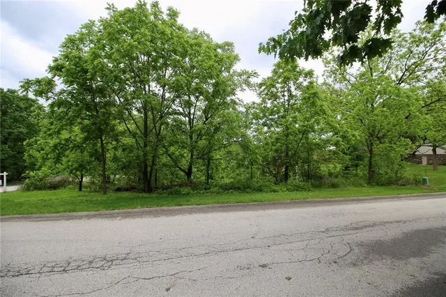 a view of a yard with a trees